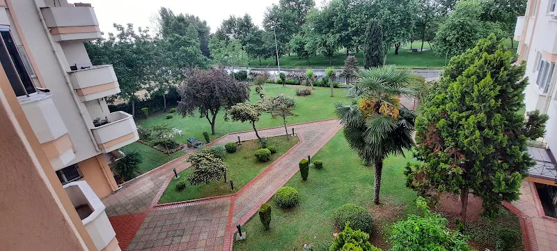 Akvaryum Sitesi foto 2