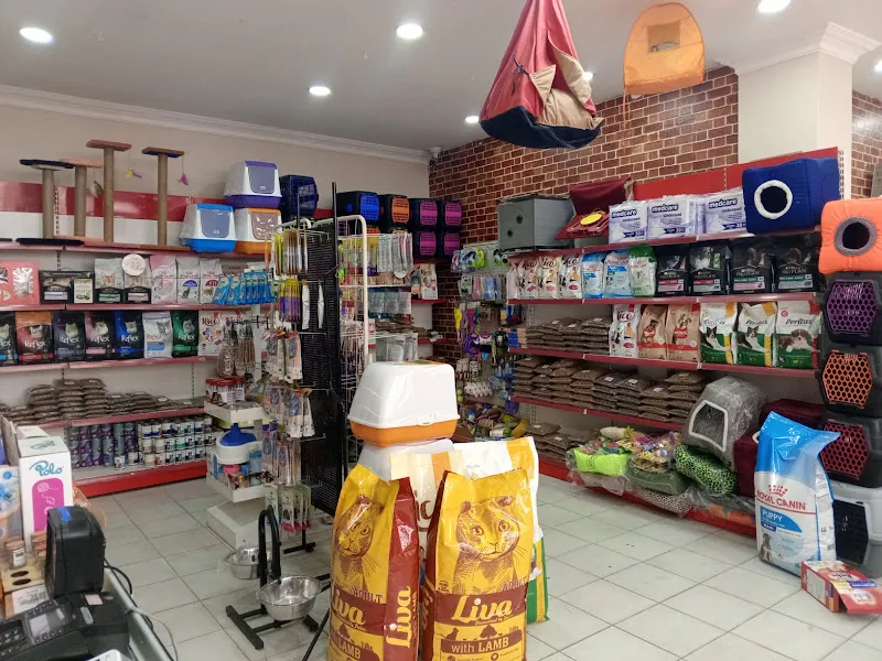 Petshop Yanımda foto 1