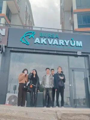 Bursa Akvaryum