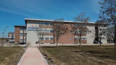 Veteriner Fakültesi