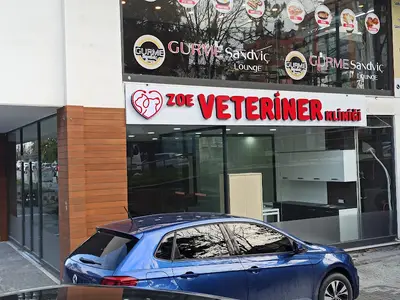 Zoe Veteriner Kliniği - Beylikdüzü