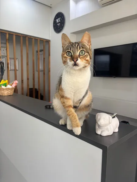 Lena Veteriner Kliniği foto 1
