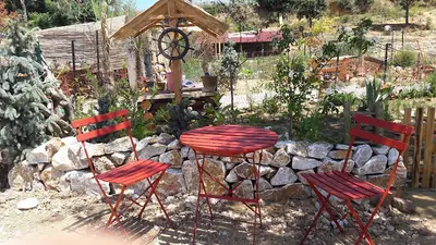 Koru Kanatlı Hayvan Parkı