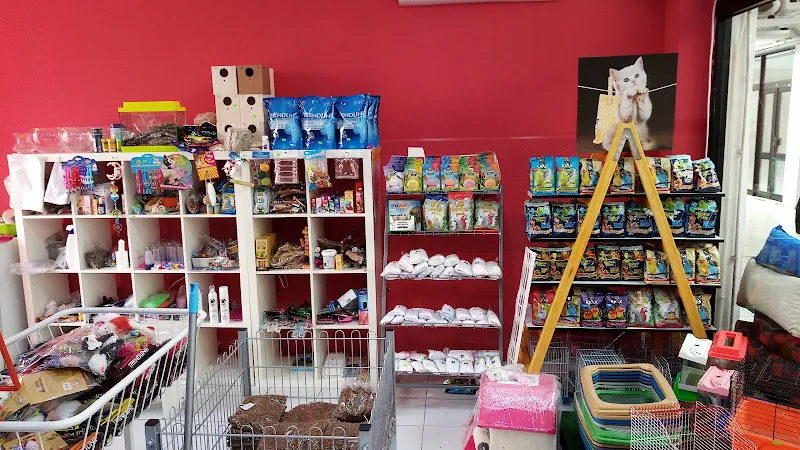 Tüylü Dostum Pet shop foto 2