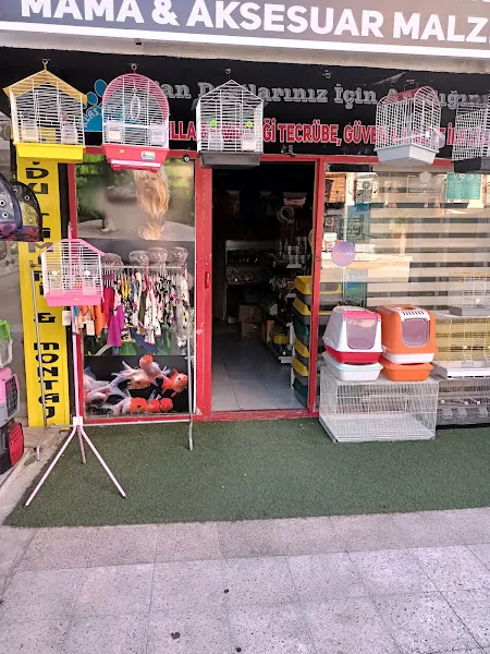 KLAS PETSHOP foto 1