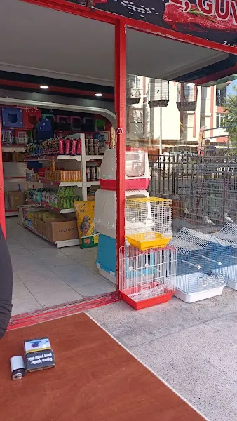 KLAS PETSHOP foto 2
