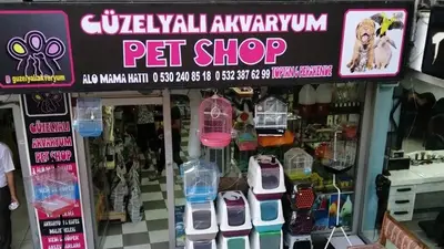 Güzelyalı Petshop