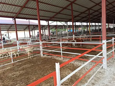 Çavdır Belediyesi Canlı Hayvan Pazarı