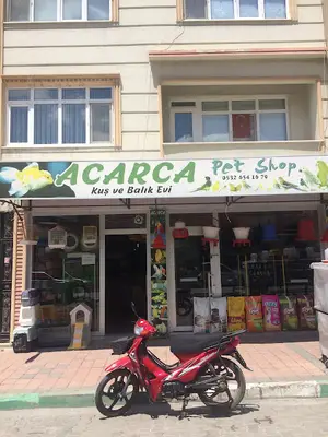 Acarca Kuş Evi