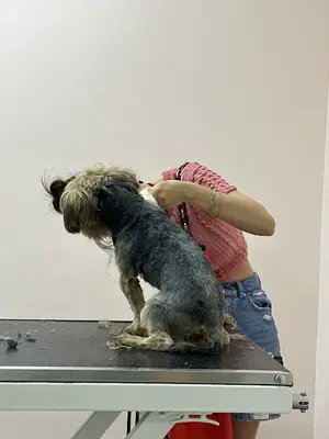 Göktürk Pet Home / Pet Kuaför