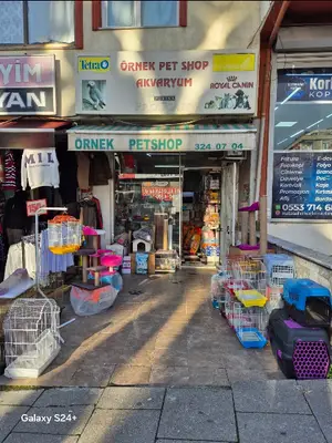 Örnek Petshop & Akvaryum