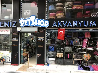 Deniz Akvaryum Petshop Siyavuşpaşa UEFA