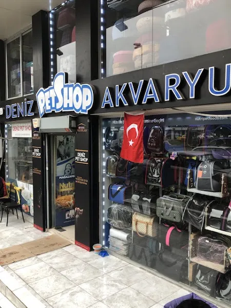 Deniz Akvaryum Petshop Siyavuşpaşa UEFA foto 2