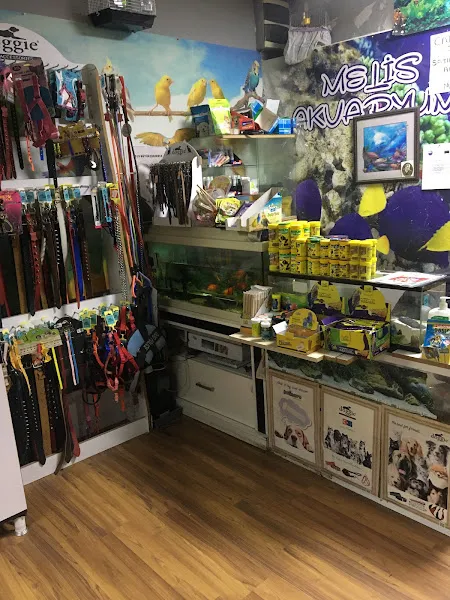 MELİS AKVARYUM PETSHOP foto 2