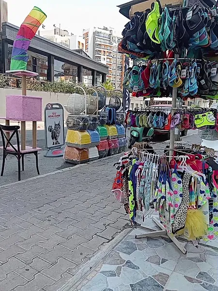 Cadde Pet Kuaför foto 2
