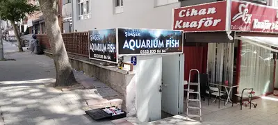 Şimşek Aquarium Fish