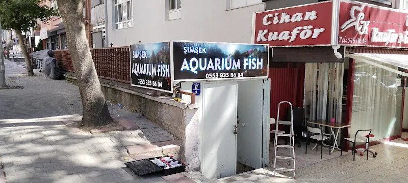 Şimşek Aquarium Fish foto 1
