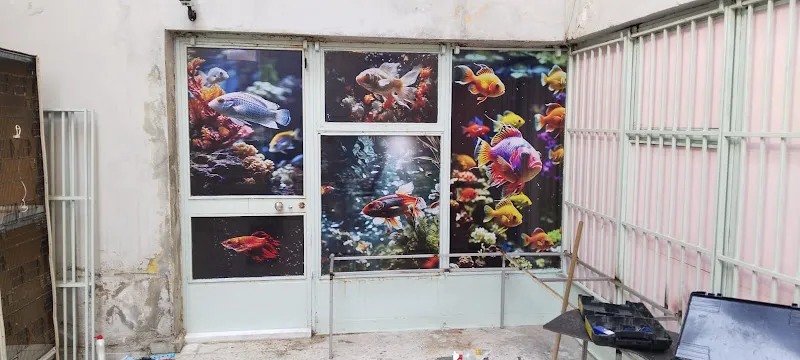Şimşek Aquarium Fish foto 2