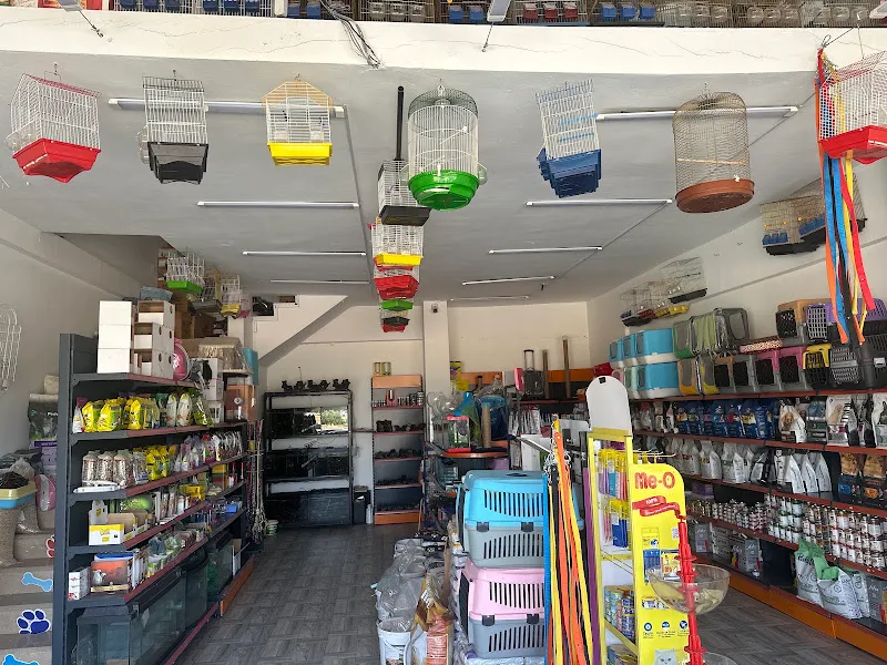 Seçkin petshop foto 2