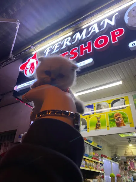 Ferman petshop foto 2