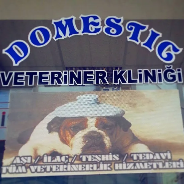 Torbalı Domestic Veteriner Kliniği - Vet. Hek. Mustafa Yavaş foto 1