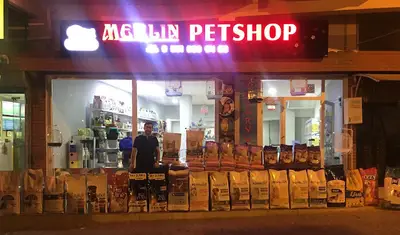 MERLİN PETSHOP