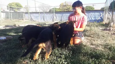 Akademi Köpek Eğitim Merkez