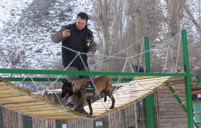 Akademi Köpek Eğitim Merkez foto 2