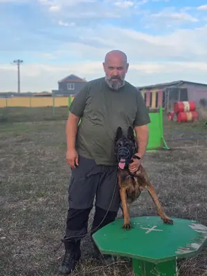 Sky Dogern Malinois