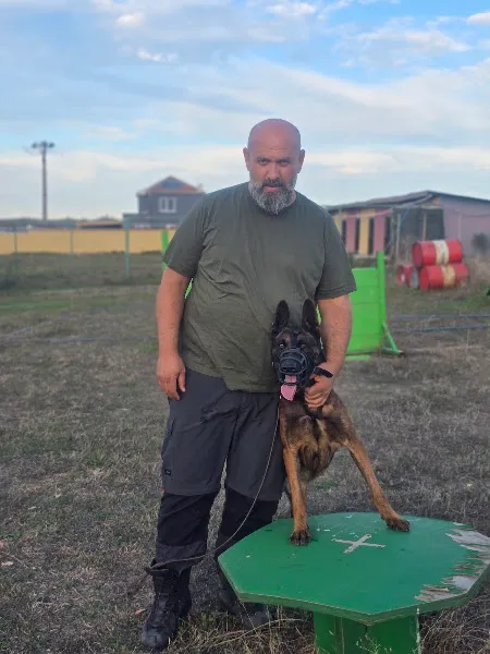 Sky Dogern Malinois foto 1