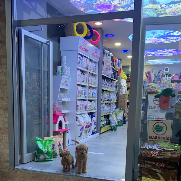Patisev Petshop foto 2