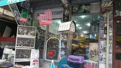 Duygu Pet Shop