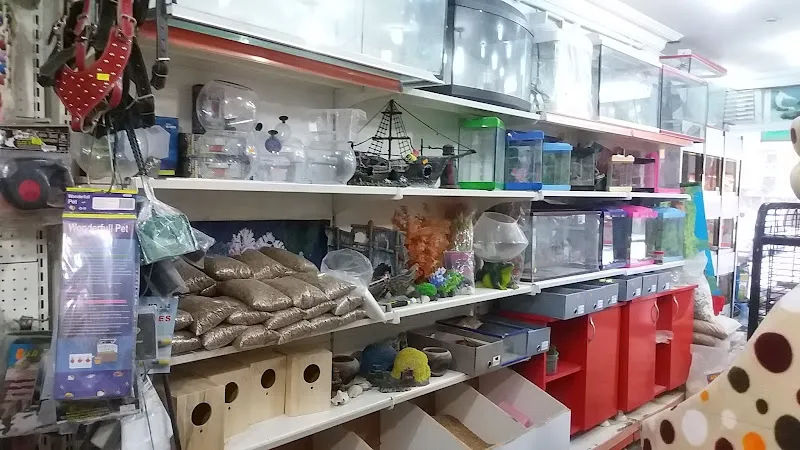 Duygu Pet Shop foto 2