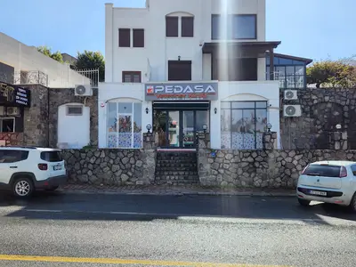 Pedasa Veteriner Kliniği