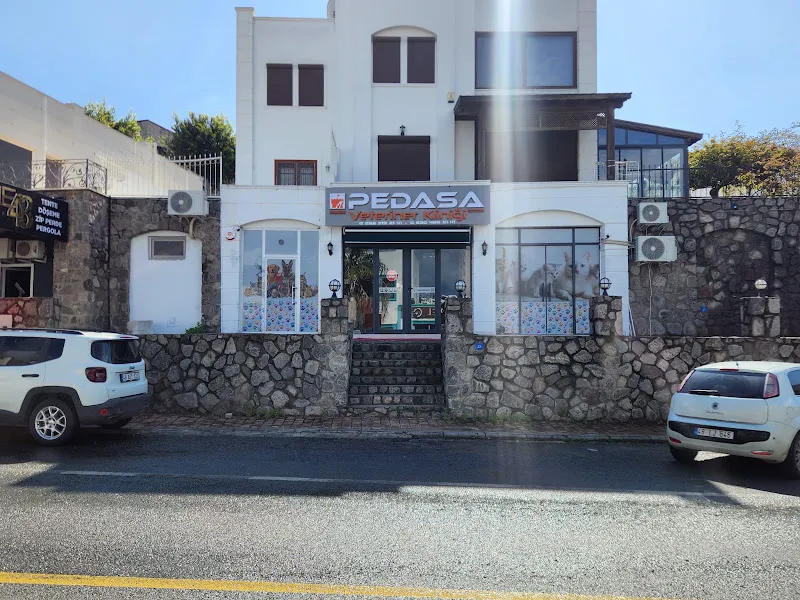 Pedasa Veteriner Kliniği foto 2