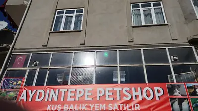 Aydıntepe Petshop