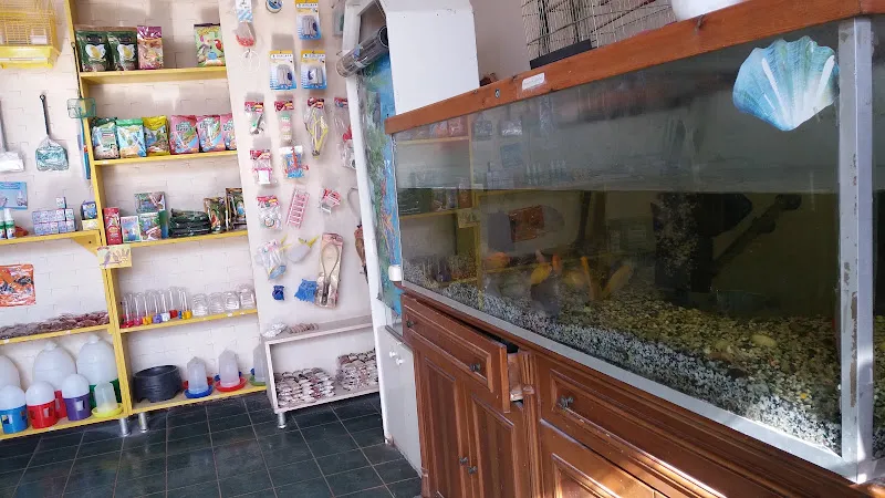 Aydıntepe Petshop foto 2