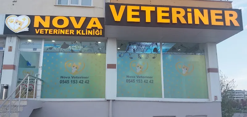 Konya - Nova Veteriner Kliniği foto 1