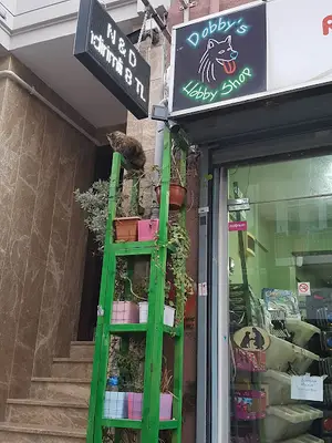 Dobby's Hobby Shop