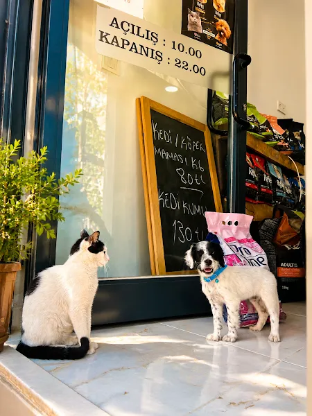 ANTALYA MAMA DEPOSU PETSHOP foto 2