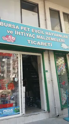 Bursa Pet fotoğrafı