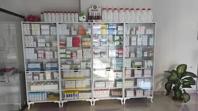Oktar Veteriner Kliniği