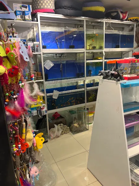 ALFA PETSHOP KARTEPE foto 2