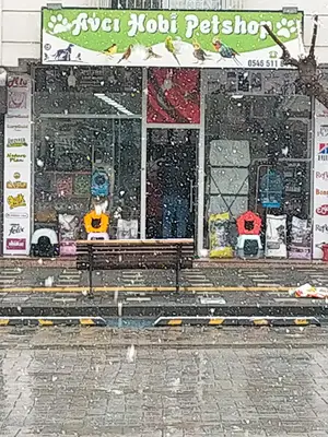 Avcı hobi petshop