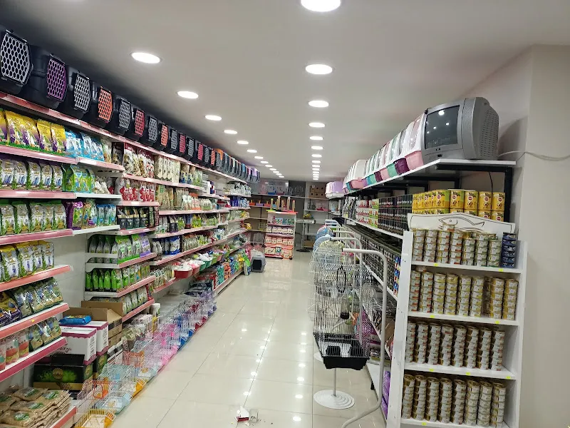 Avcı hobi petshop foto 2