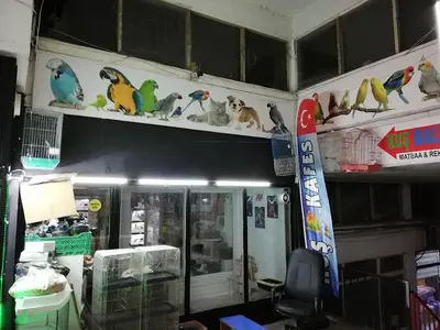 KADER PETSHOP