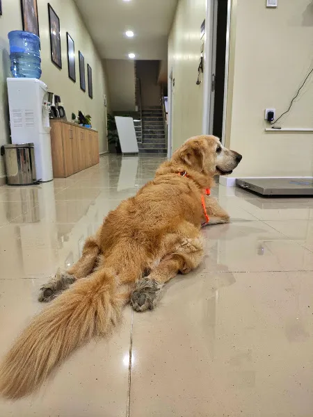 ARMA Veteriner Kliniği foto 2
