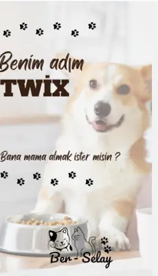 BerSelAy Pet