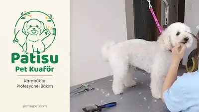Patisu Pet Kuaför