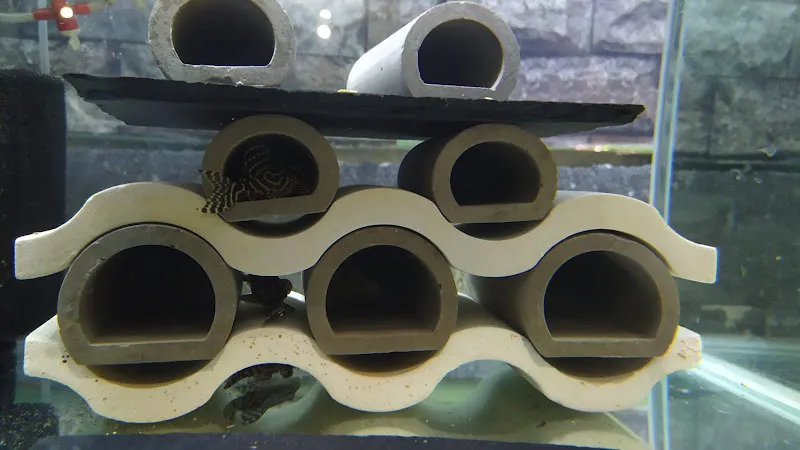 DD AQUA petshop foto 2